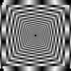 Illusion's Echo