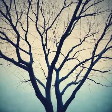 Image for Gennaio 25