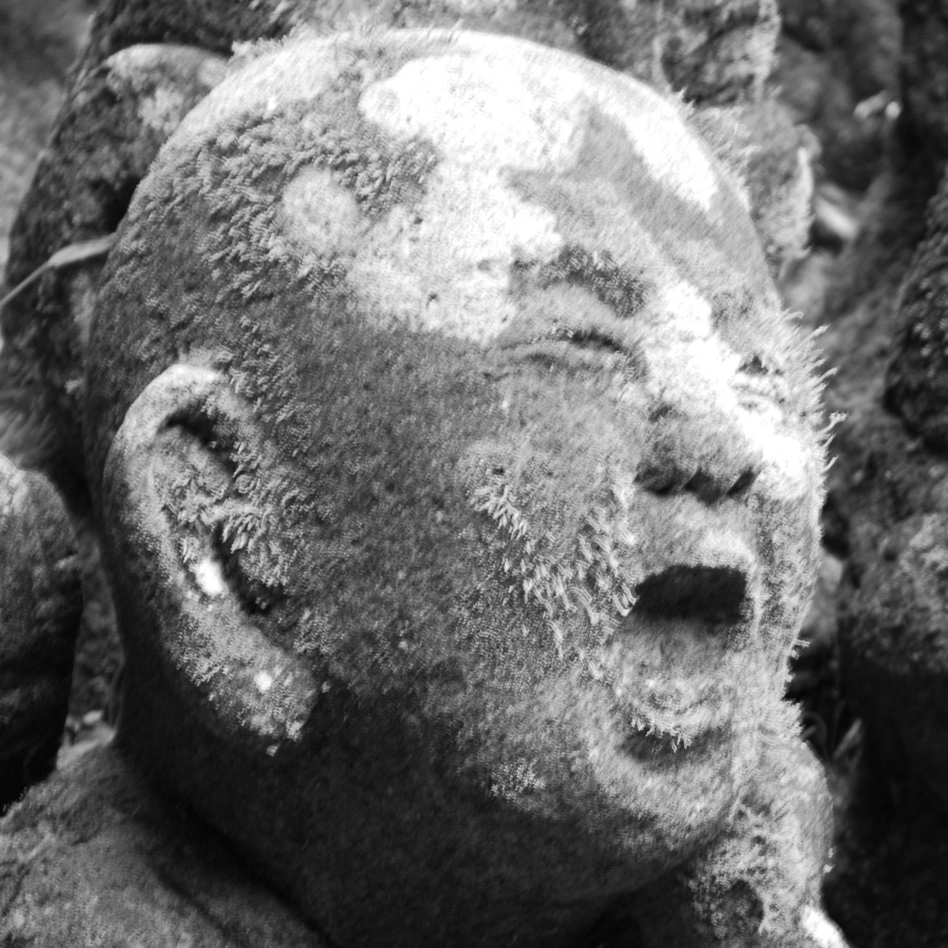 hassaque