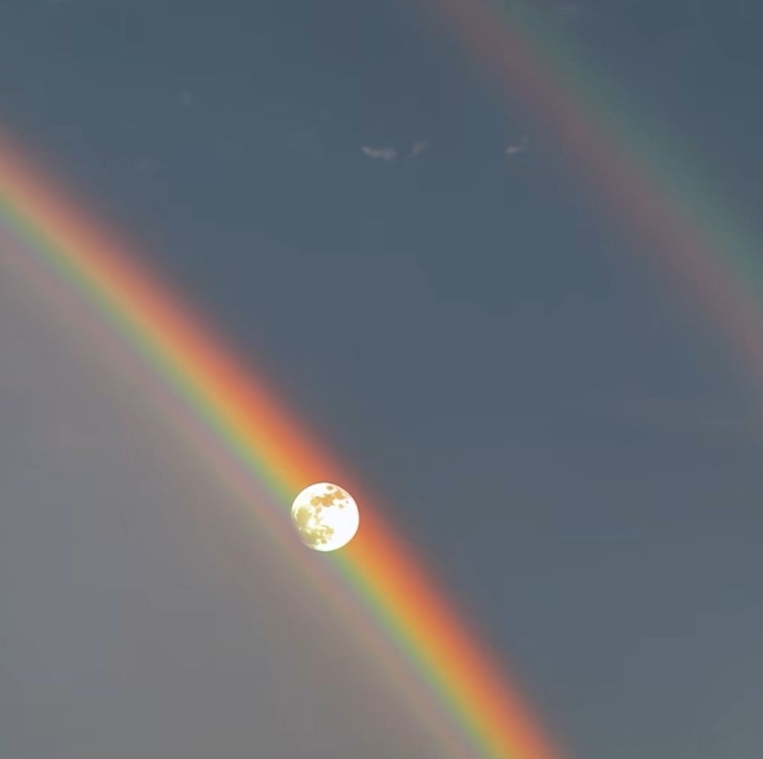 Image for 2026 Is The One