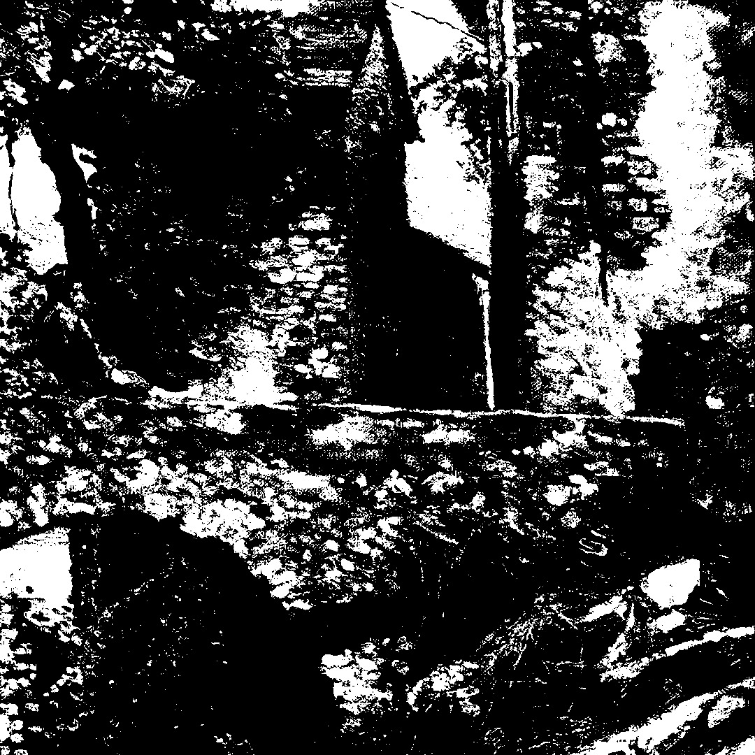 Thalassa artwork