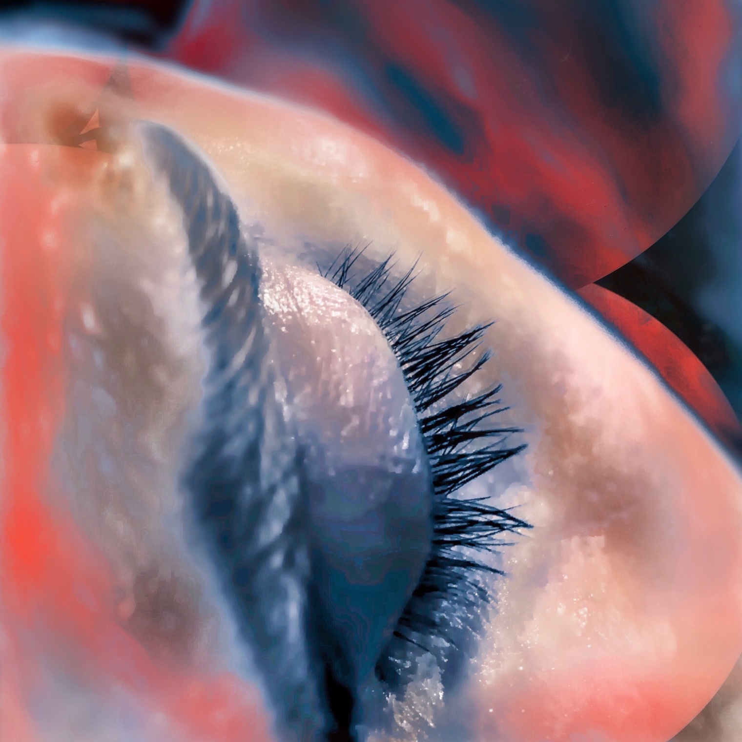 Image for Desde Mi Letargo