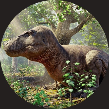 Image for Paleo-raps: Volume 1