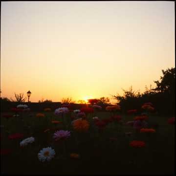 Image for Now That's Music