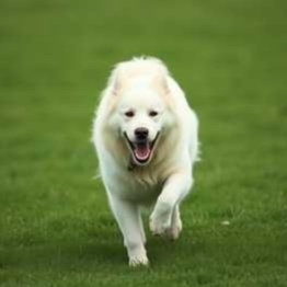 Image for My Playlist