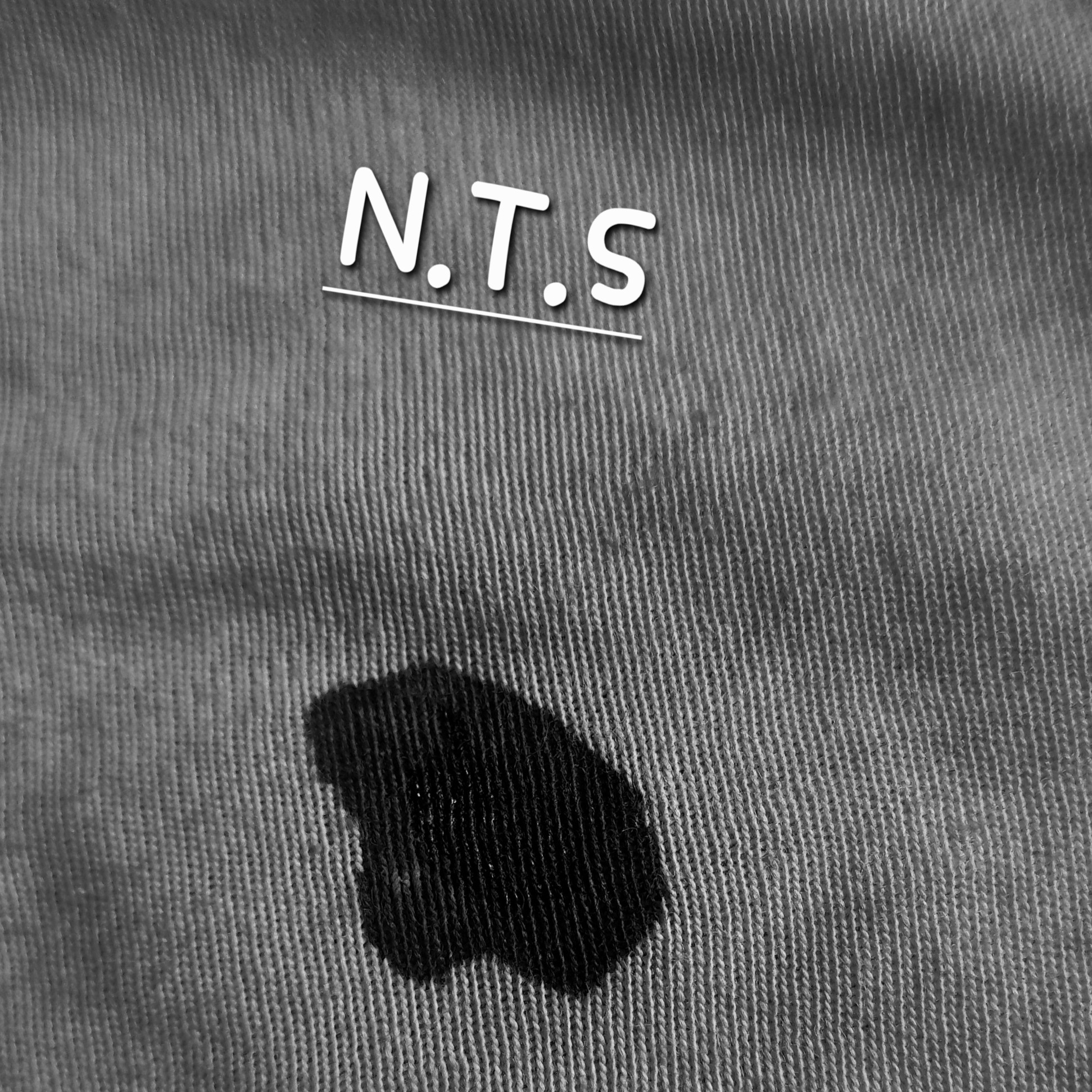 Image for N.T.S