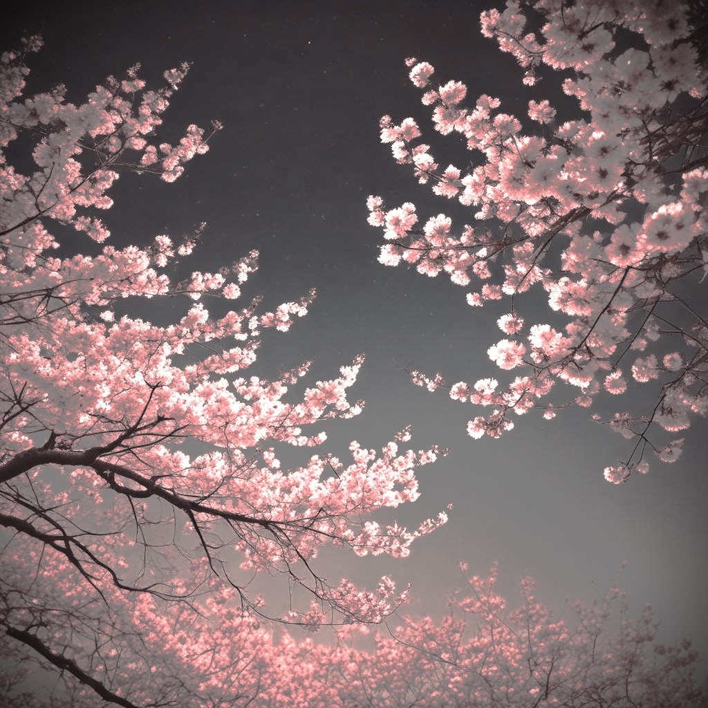 Image for Silent Memories