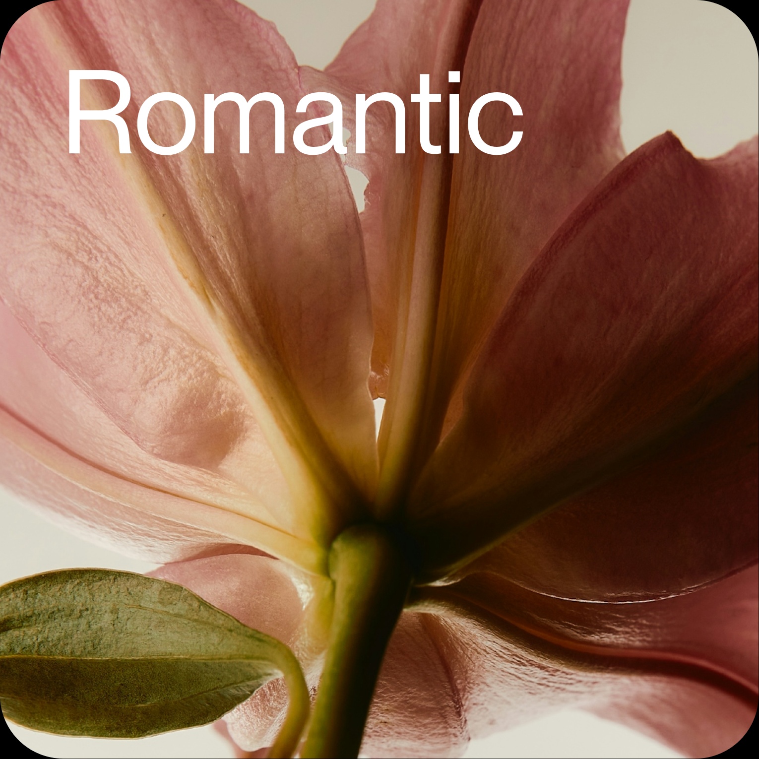 Image for Romantic