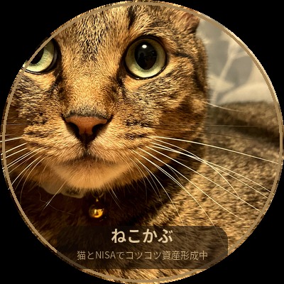 nekokabu