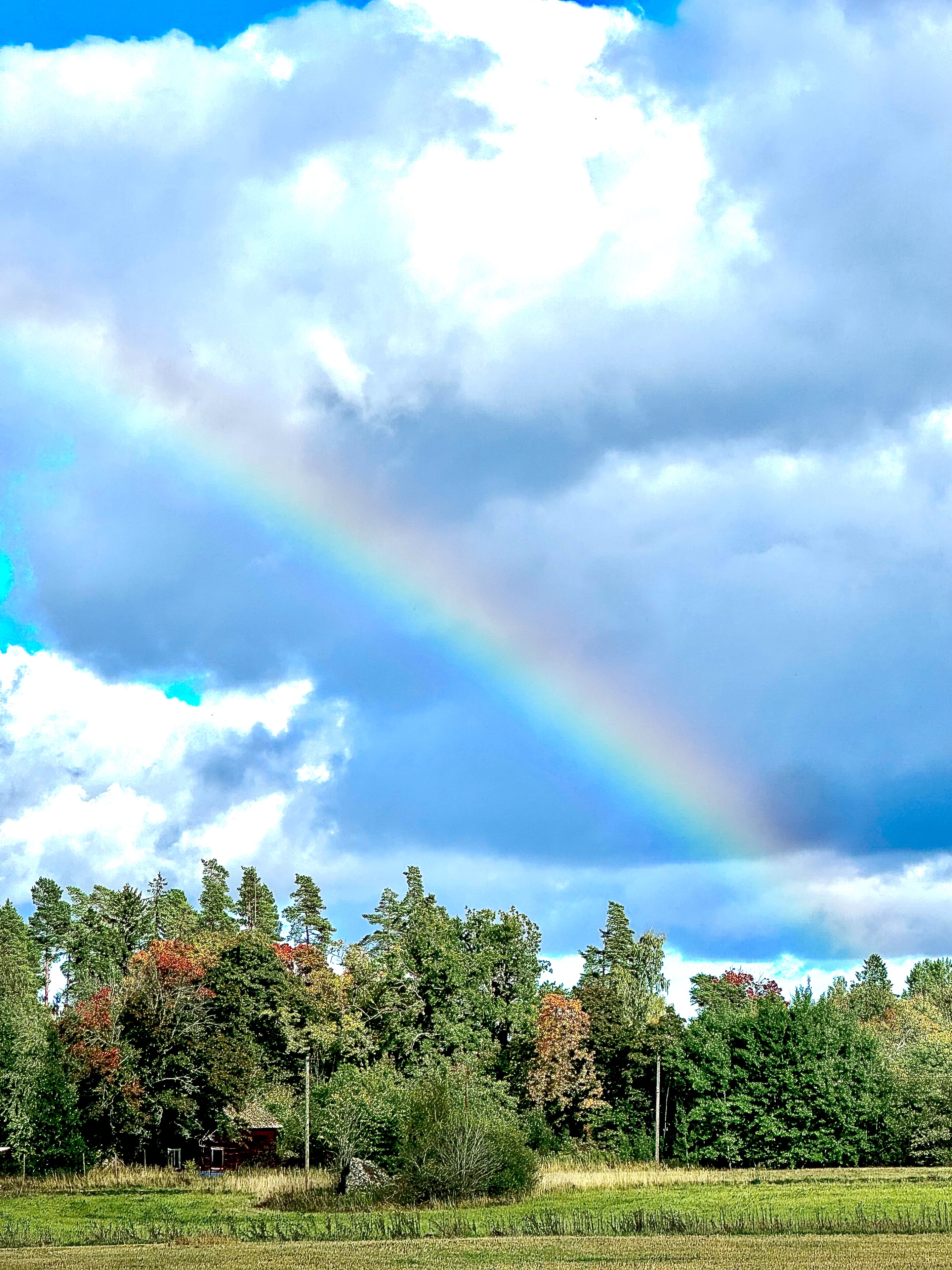 You're My Rainbow artwork