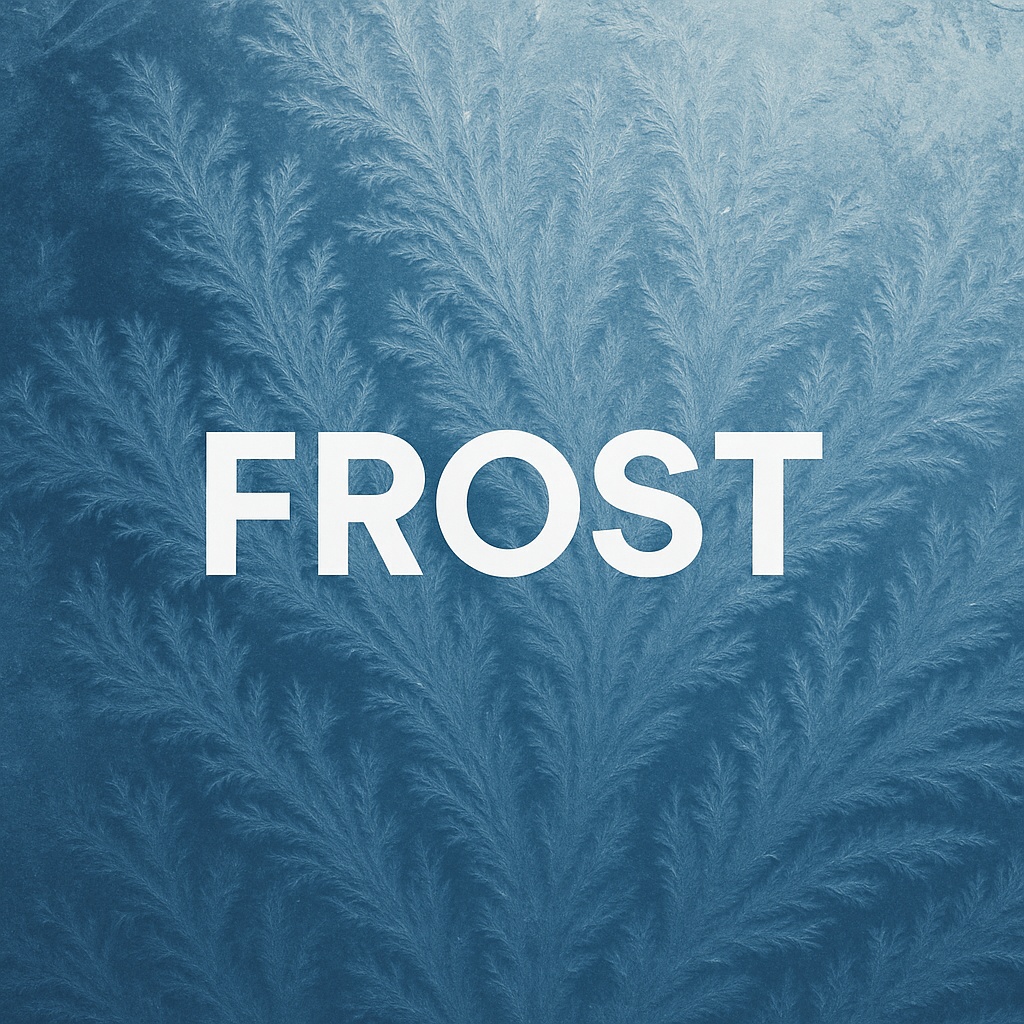 Image for Frost 