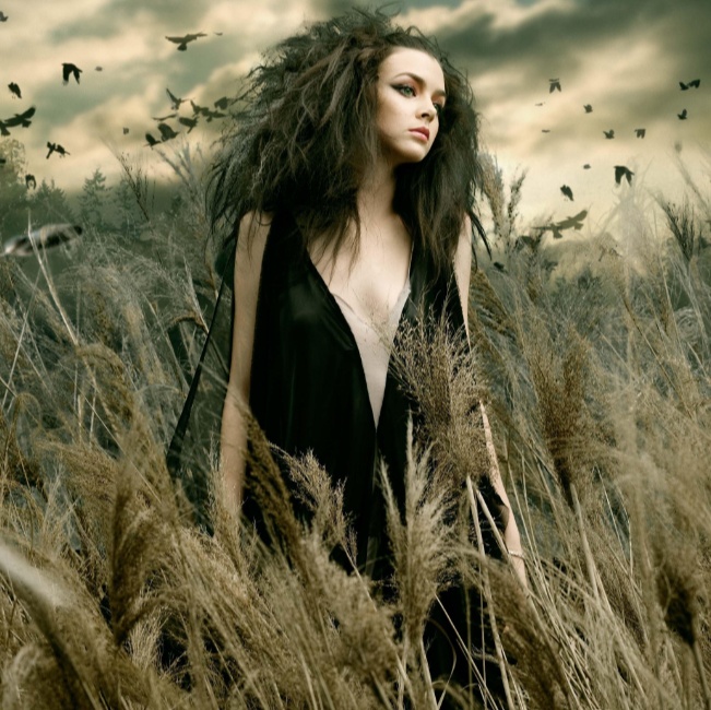 Image for Mix october 2024