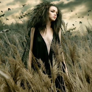 Image for Mix october 2024