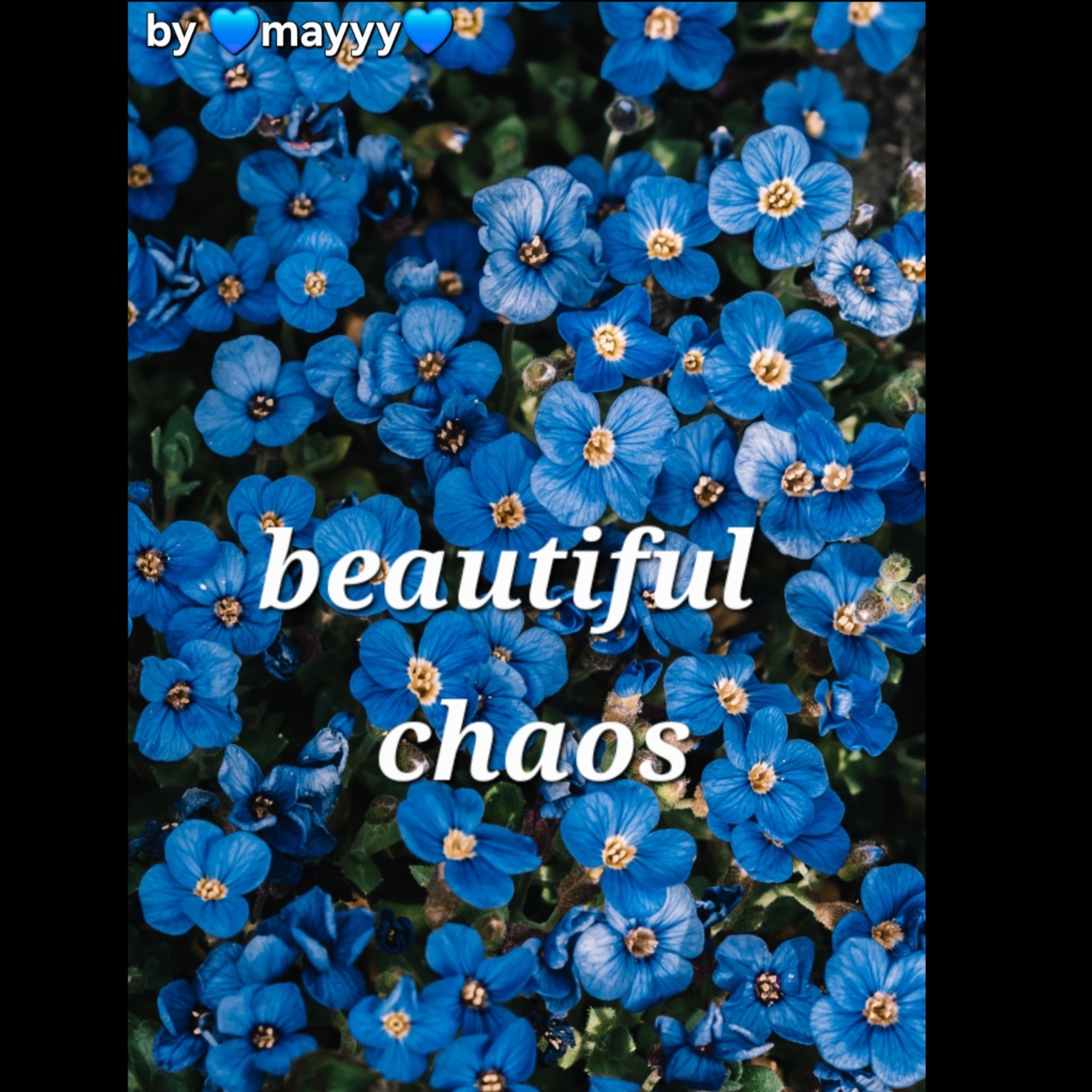 Image for Beautiful chaos 