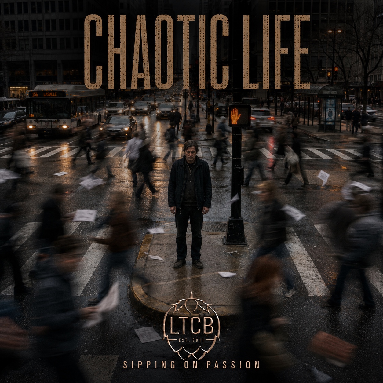 Chaotic Life artwork