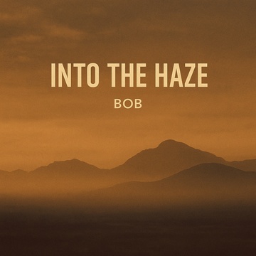 Image for Into the Haze