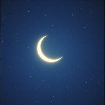 Image for 『ビスケットムーン (Biscuit Moon)』