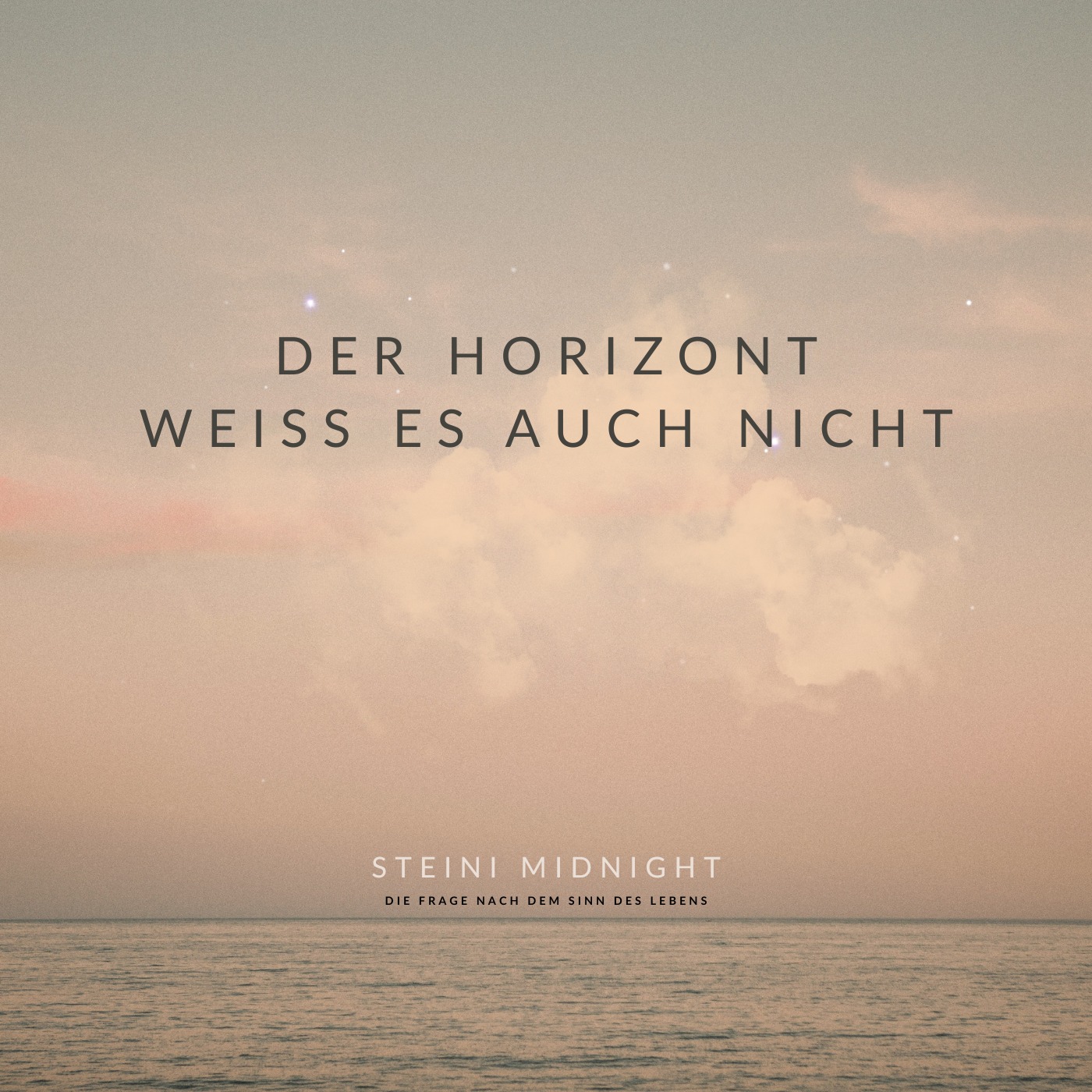 Der Horizont weiß es auch nicht artwork