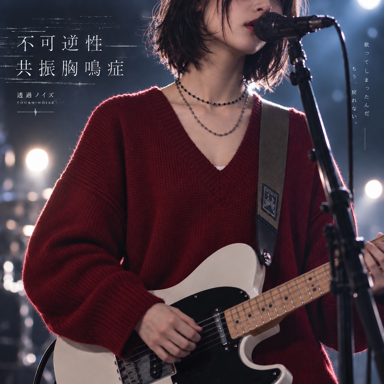 不可逆性共振胸鳴症 artwork