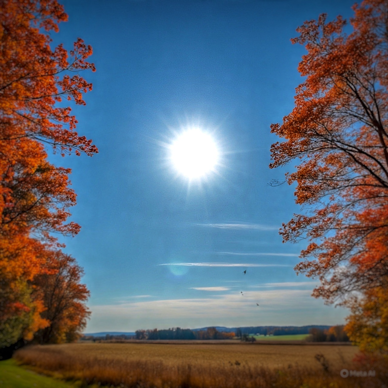 Image for What Happened To Our World