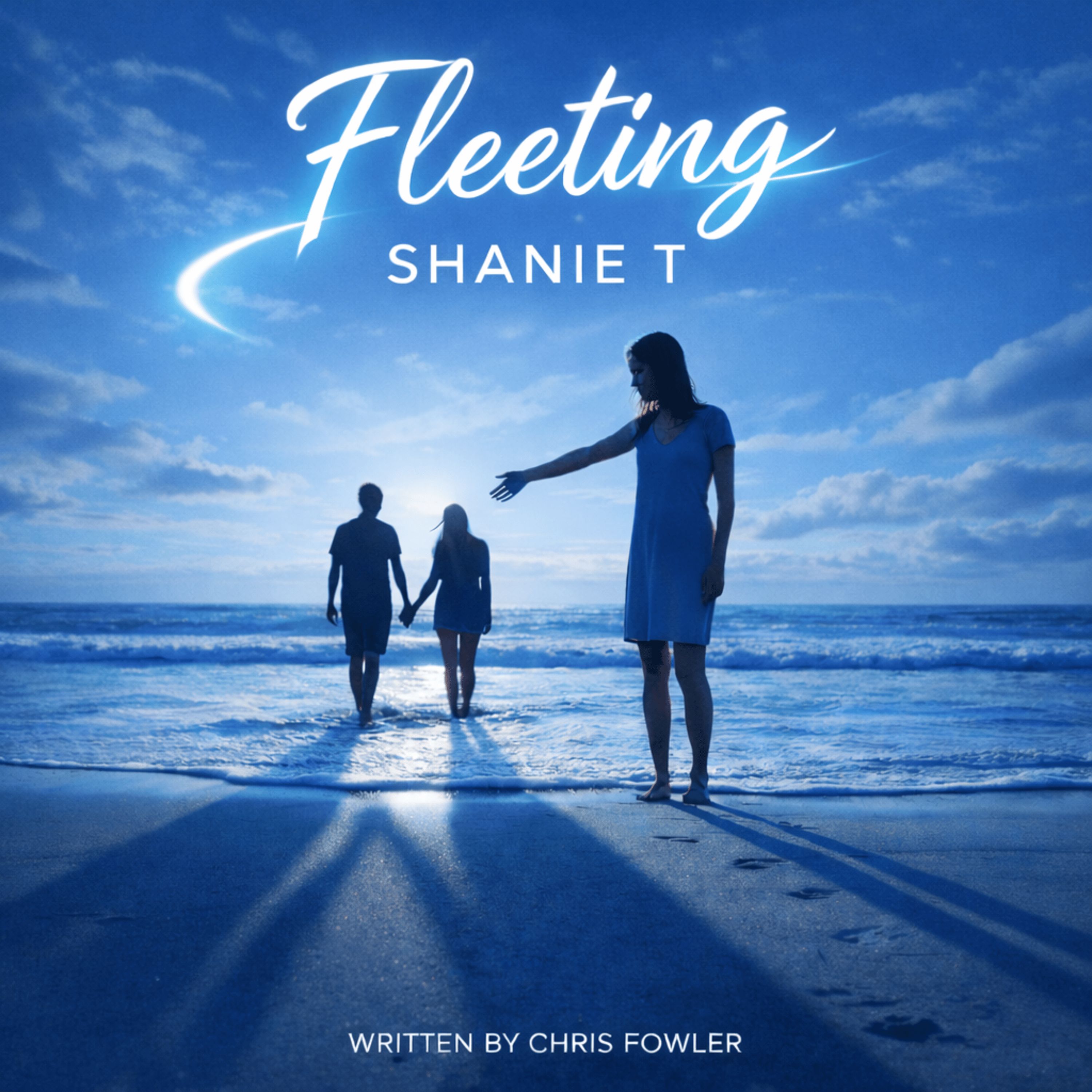 Fleeting (Cover) artwork