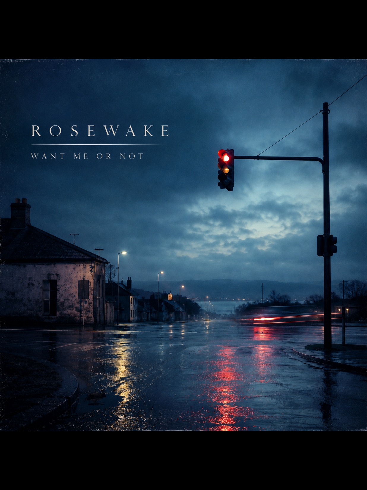 Want Me or Not artwork