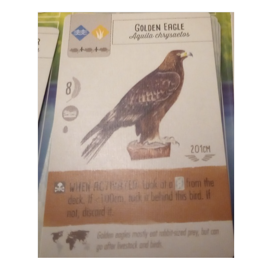 Bird of Prey Cards (Remastered) [AISW CHALLENGE - Impossible Style Fusion] artwork