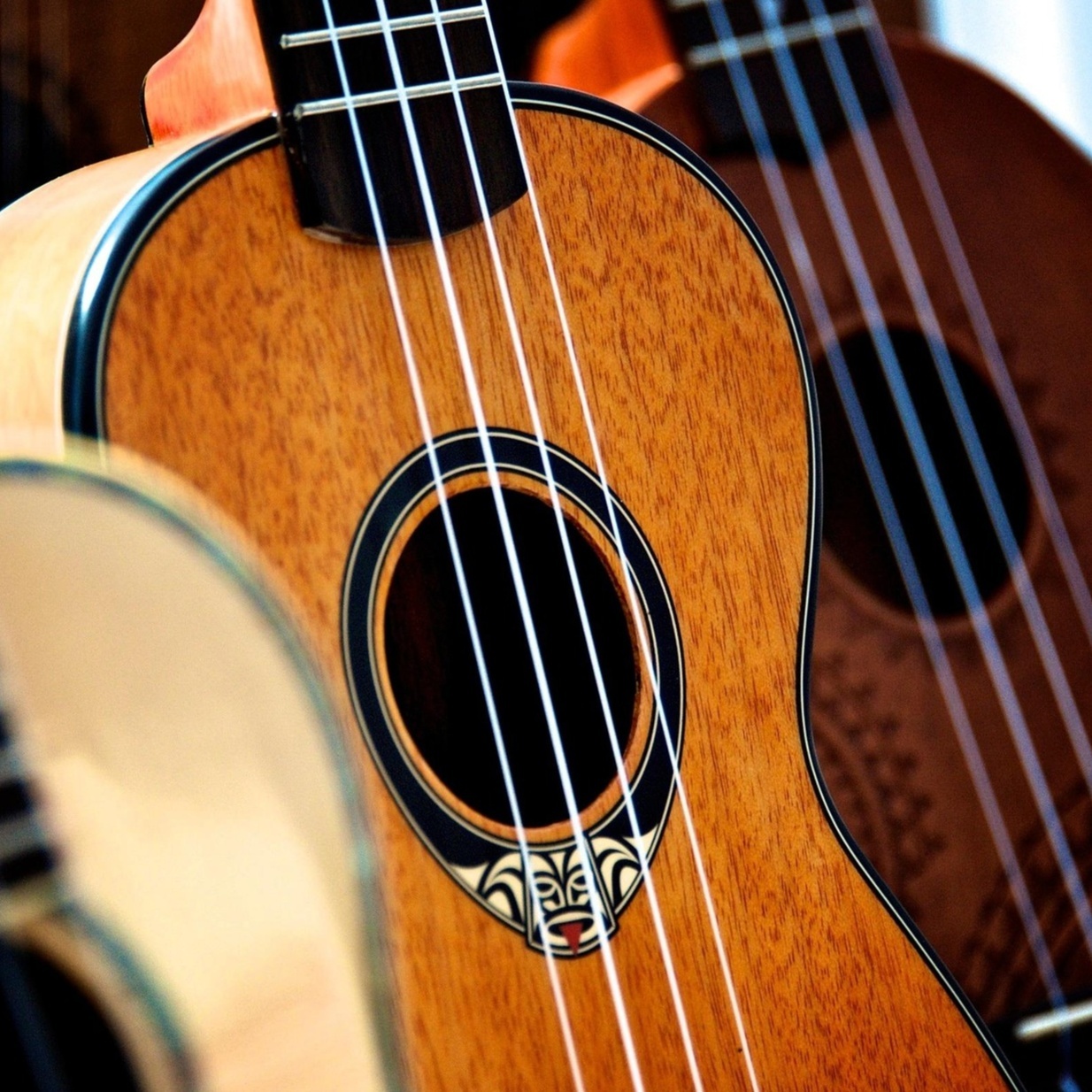 Image for * Ukulele songs *