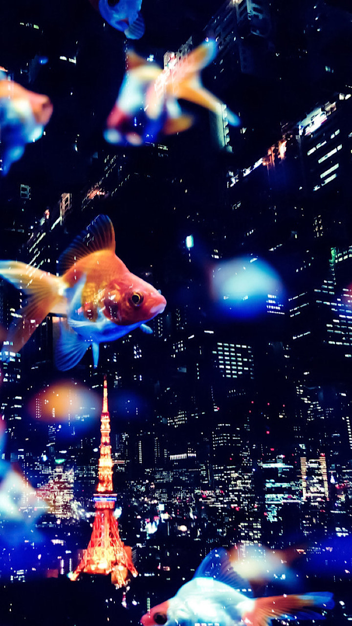 evolution artwork