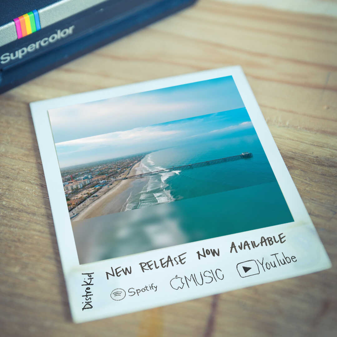 Voice picture for WP4