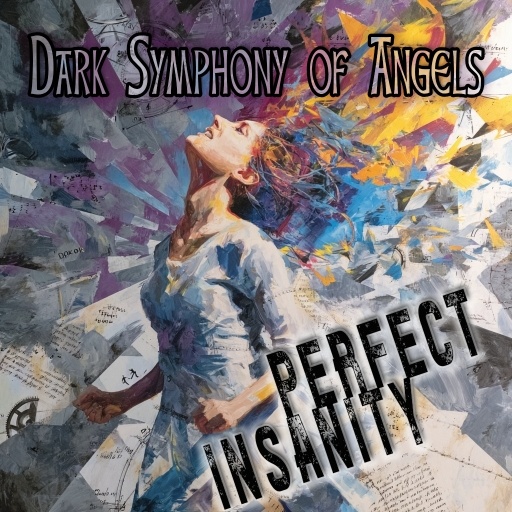 Image for Perfect Insanity