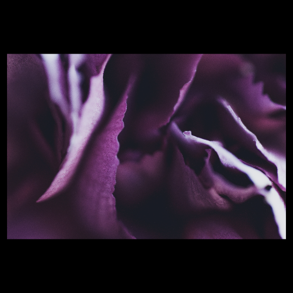 Image for Grunge Crunch