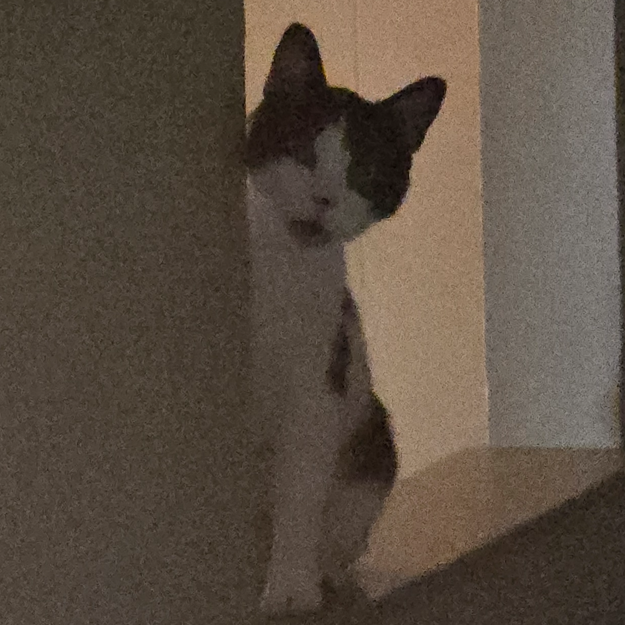 Profile picture for AI's INTERWEBZ WORKSHOP