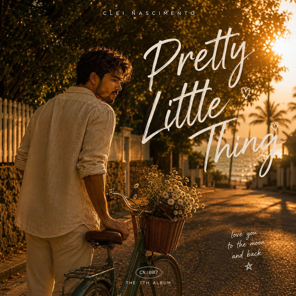 PLT artwork