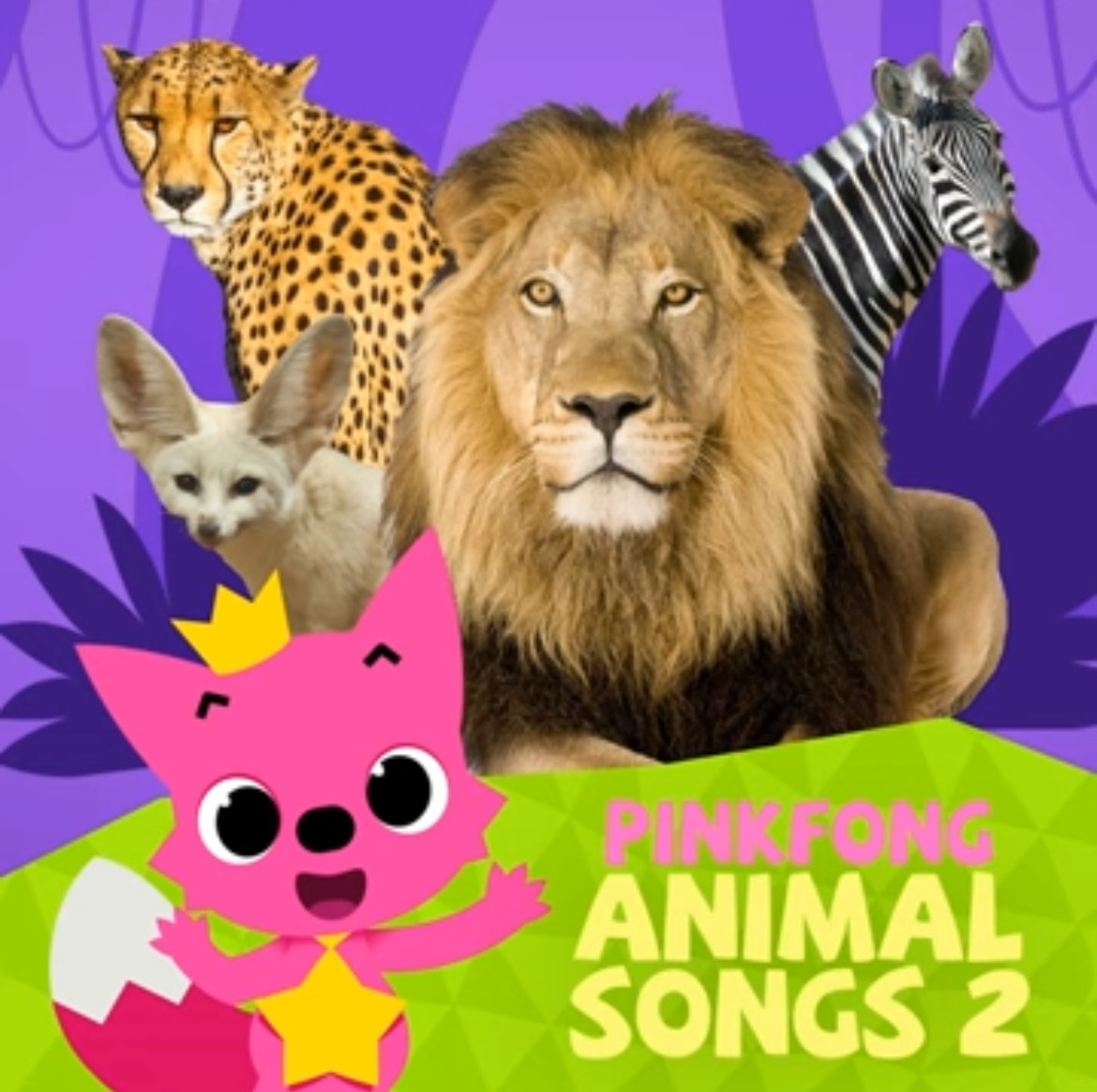Zebra Cadabra artwork