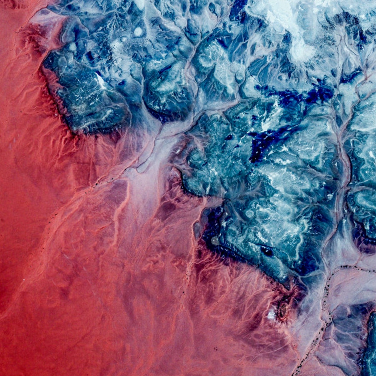 Image for FRIENDS ON SUNO - MOST FAVOURITE