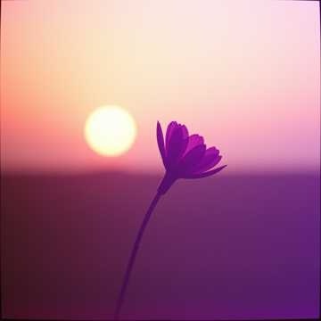 Image for wotir - EDM / Trance / Techno