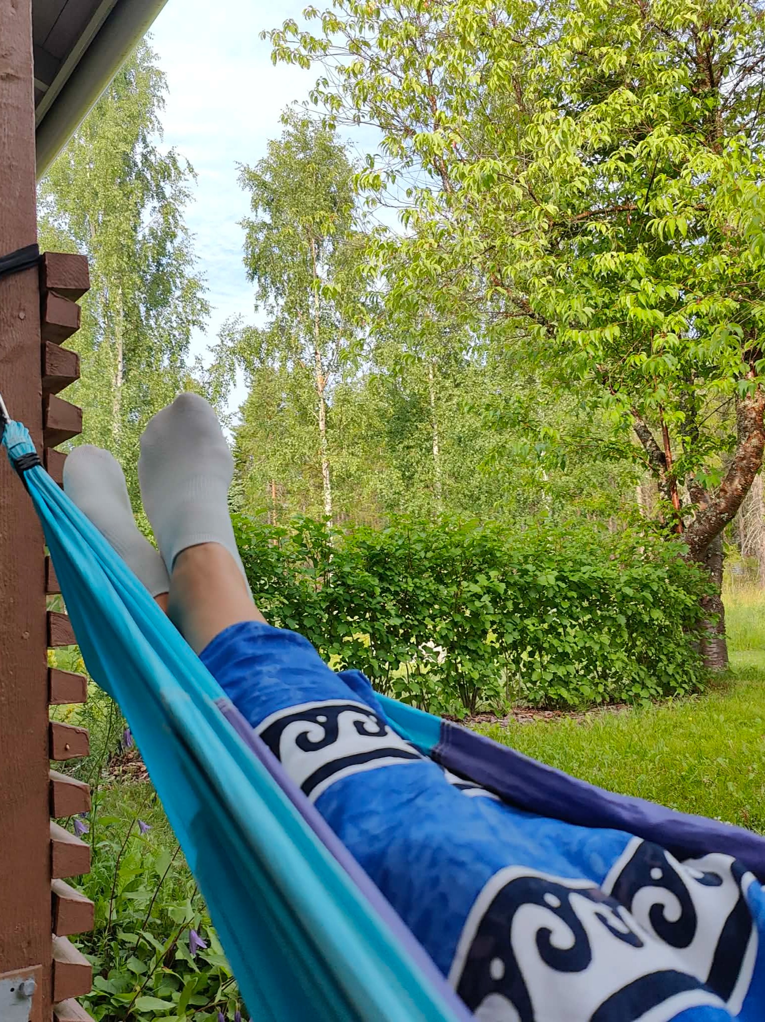 Hammock in July artwork