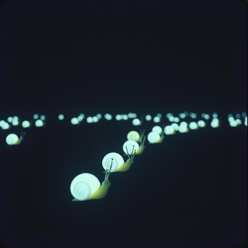 Image for 『カタツムリの燐光の跡に導かれた夜の人物たち』
