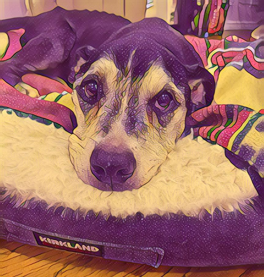 “Deebo, Deebs, Our Puppy” ( Heart Songs with Dr. Ken) artwork