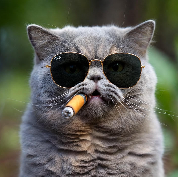 Profile picture for ARMATHORES