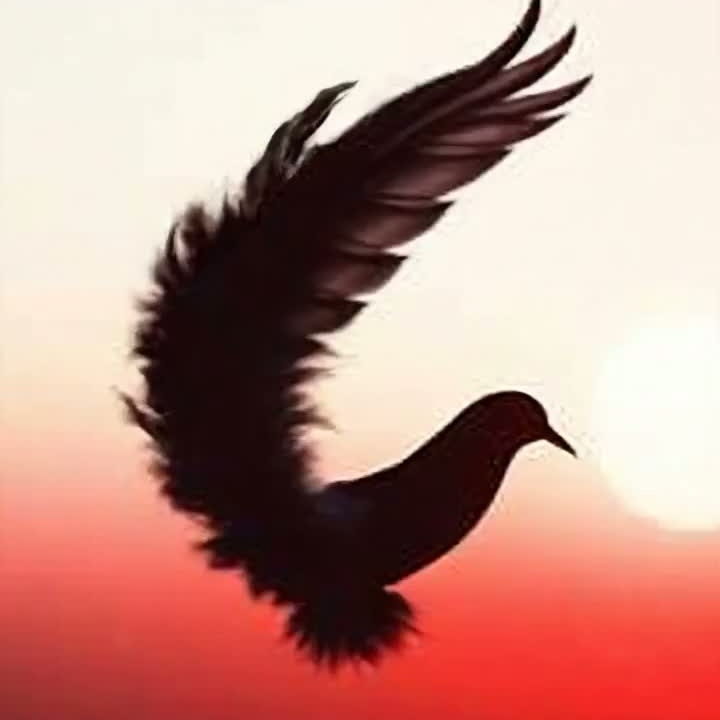 Image for 𝕞𝕒𝕟𝕒's song cover