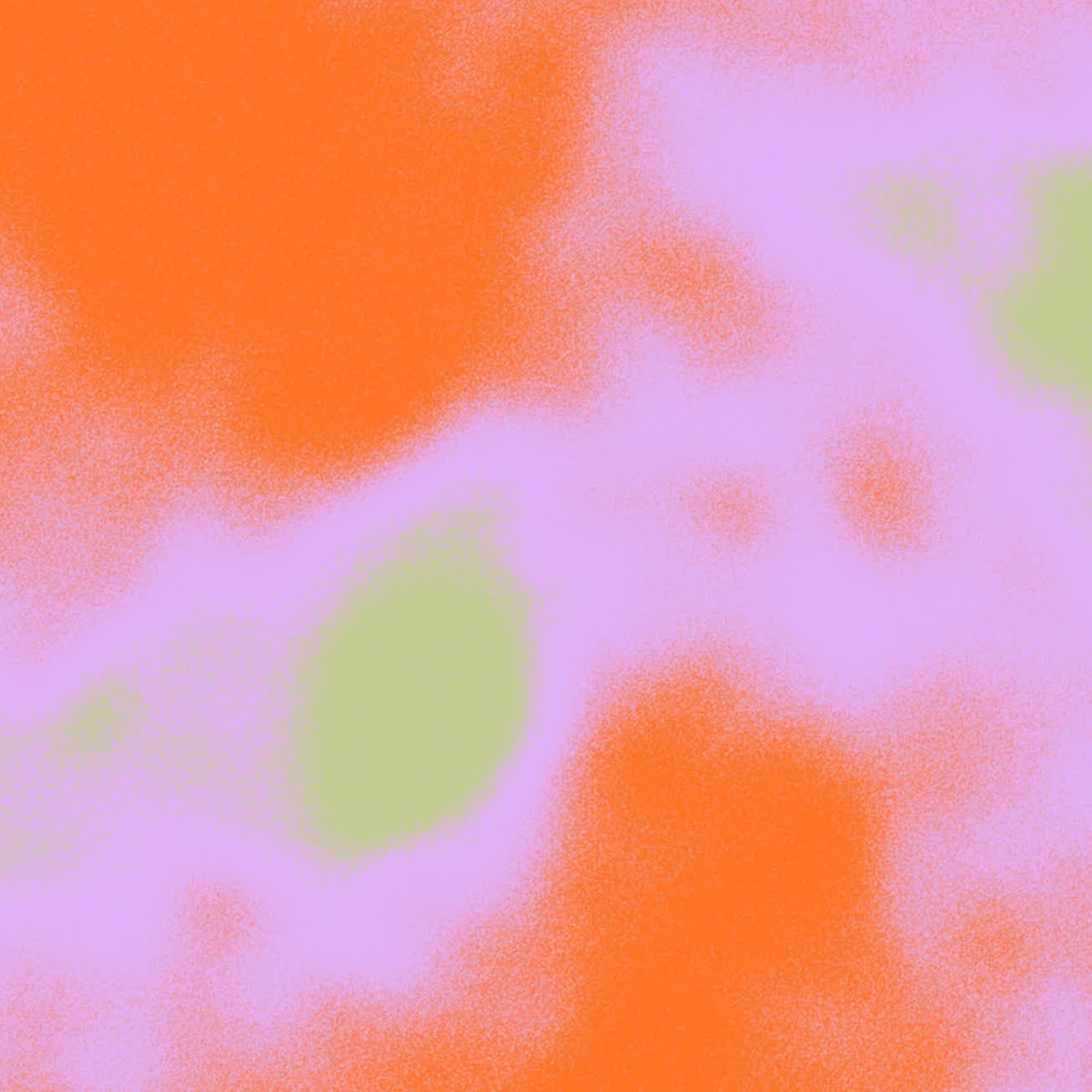 Przemo Polish Car Driving