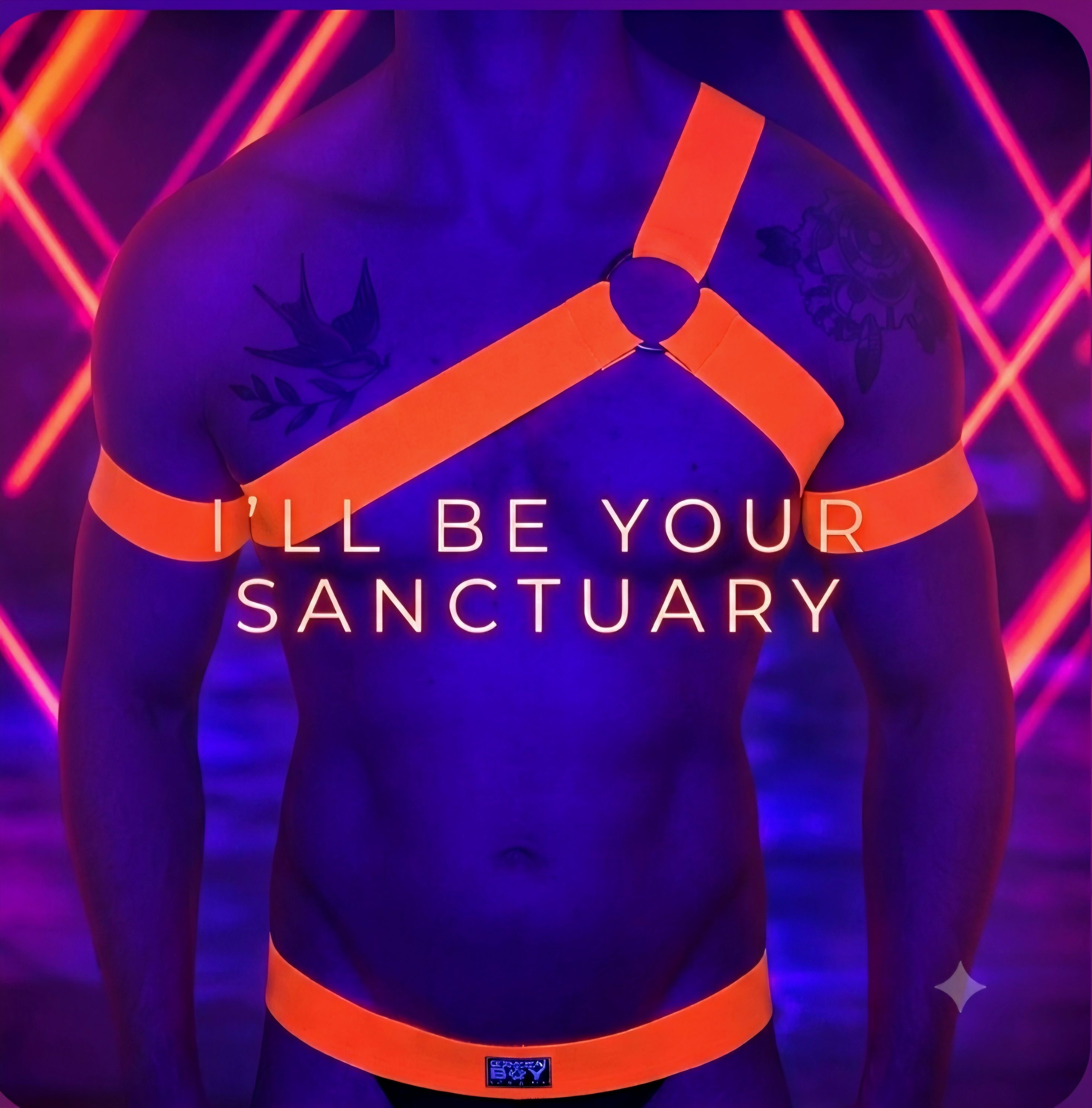 I'll Be Your Sanctuary artwork