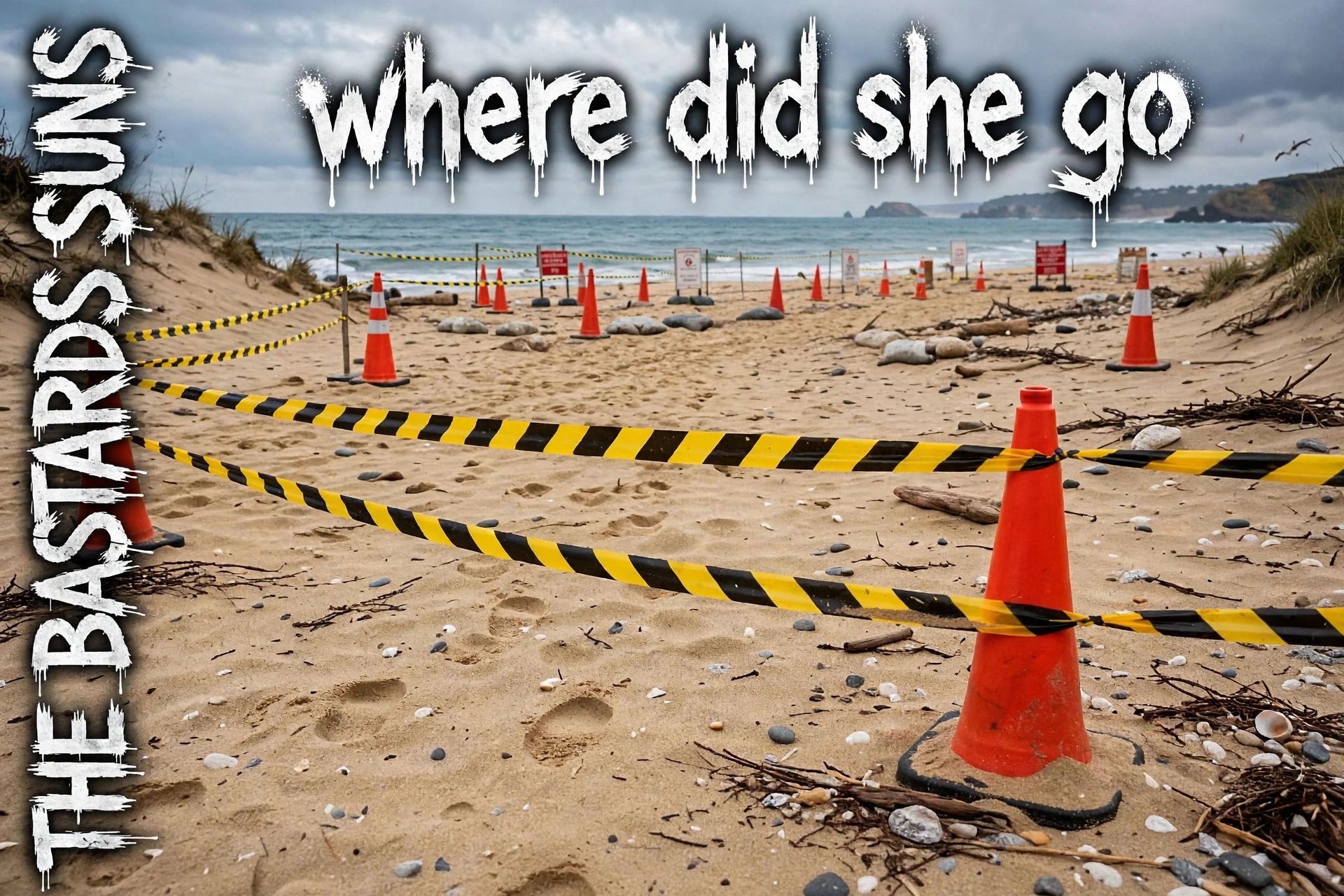 Where did she go? artwork