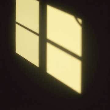 Image for Shadow and Light