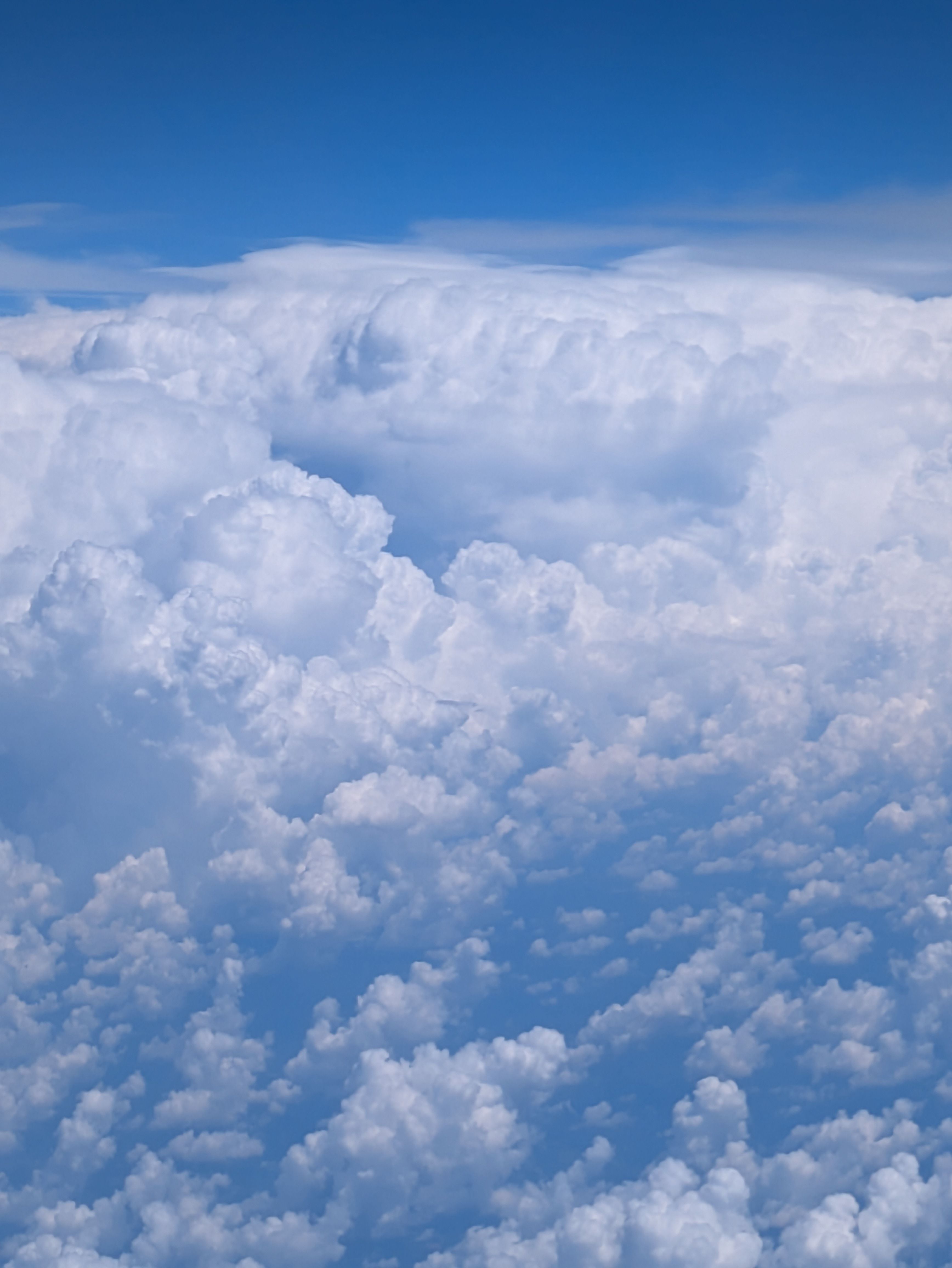 Image for A Servants Heart ❤️