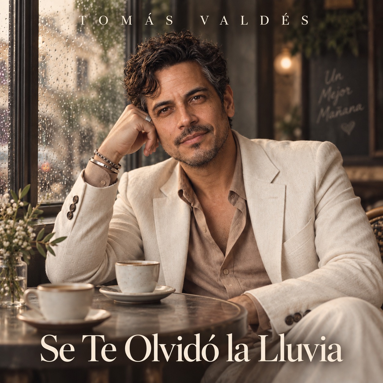 Se Te Olvidó la Lluvia artwork