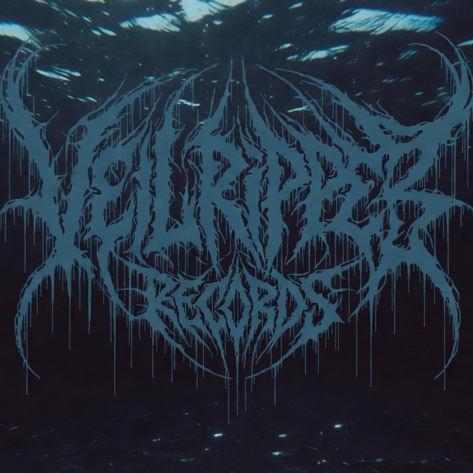 Image for Veil Ripper Records Vol.2