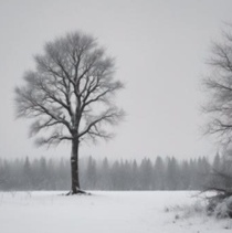 Image for Blizzard [Goth Darkwave Album]